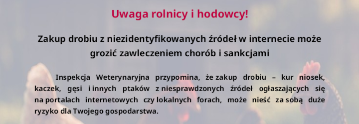 tekst grafiki z pierwszym akapitem oraz tytułem.